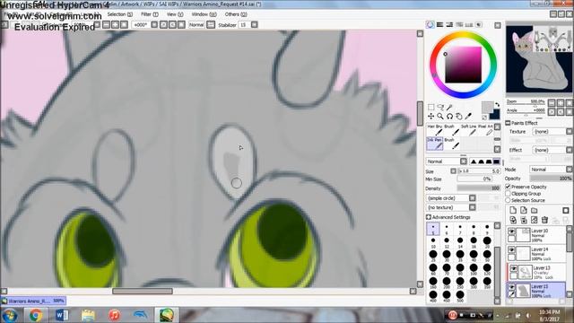 [Speedpaint] Request - Mallardstar смотреть онлайн