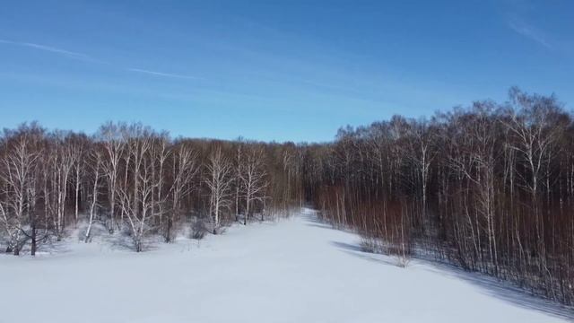 Саранский лес зимой. Saransk forest in winter. смотреть онлайн