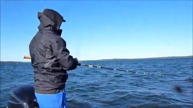 Ловля Musky бактейлами Bigtooth JUICE Series смотреть онлайн