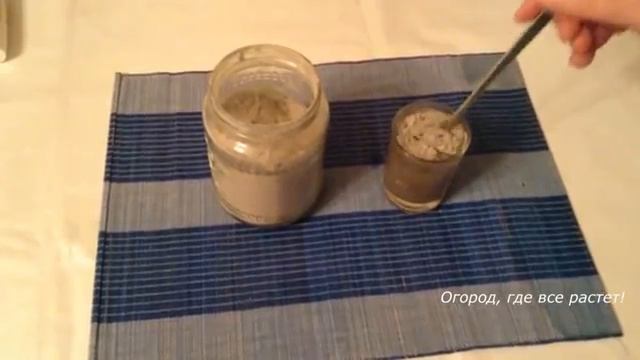 Опыты над рассадой огурцов по борьбе с мошками, белокрылой и другое.mp4 смотреть онлайн