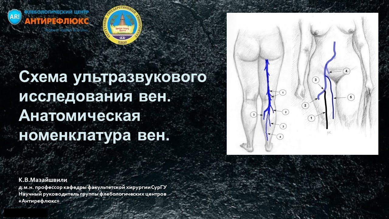 вебинар Схема ультразвукового исследования вен смотреть онлайн