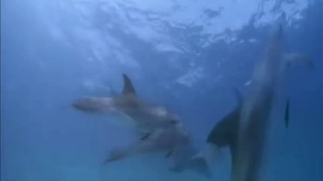 Мантра, молитва светлым учителям. смотреть онлайн