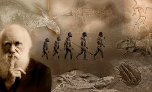 День Дарвина   или Международный день науки и гуманизма