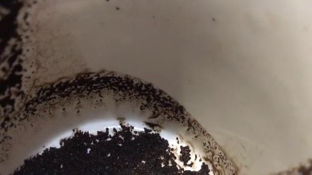 ЧАШКА ДНЯ. Гадание на кофейной гуще и картах таро на события ближайшего будущего. смотреть онлайн