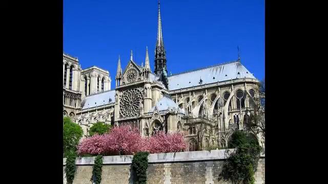 Cathédrale Notre Dame смотреть онлайн
