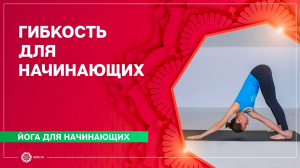 Йога для начинающих. Комплекс для развития гибкости