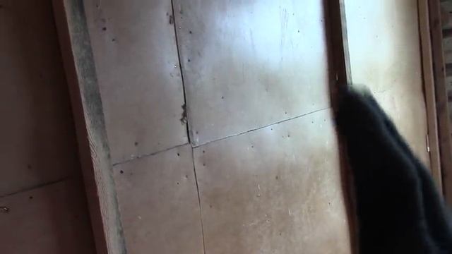 Сразу 2 СТРОЙКИ: Запустил БАНЮ на солнечном участке и обшиваем лесной домик у реки. смотреть онлайн