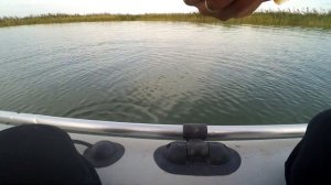 Ловля окуня на Веселовском водохранилище.