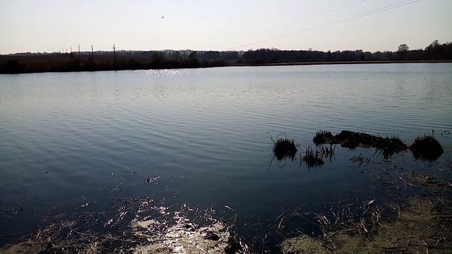 Крупный карась на донку. смотреть онлайн