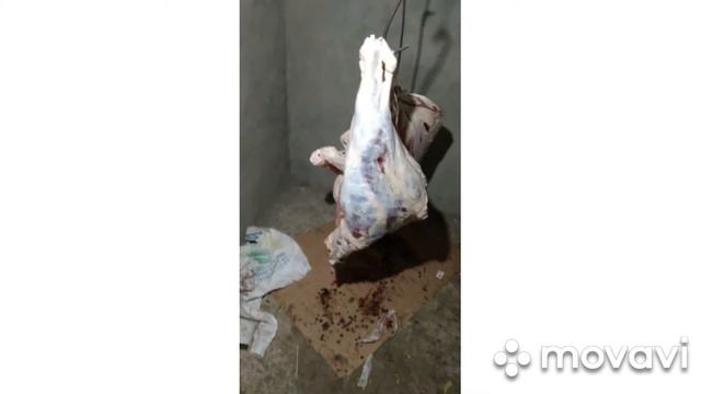 забой телки смотреть онлайн