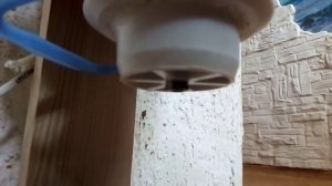 Автоматическая кормушка для кошек  своими руками.