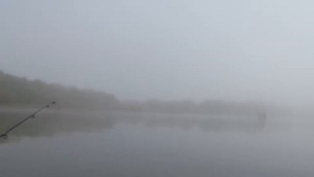 Рыбалка в Астрахани (село Селитренное) осень , Ерик банный с самого рассвета смотреть онлайн