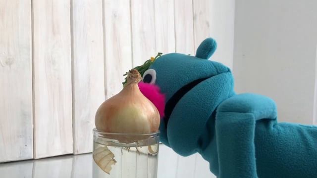 Как посадить лук. Кукла Шукшука. Learn Russian with Shukshuka смотреть онлайн