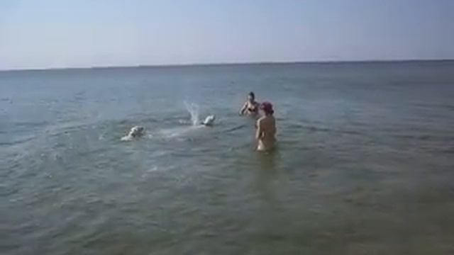 IMGP4575.MOV Одесса. Глория и Гай. смотреть онлайн