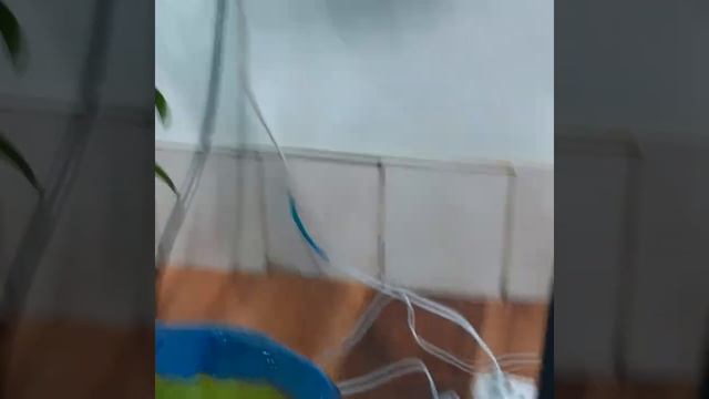 Туман для орхидей - установили систему автополива смотреть онлайн