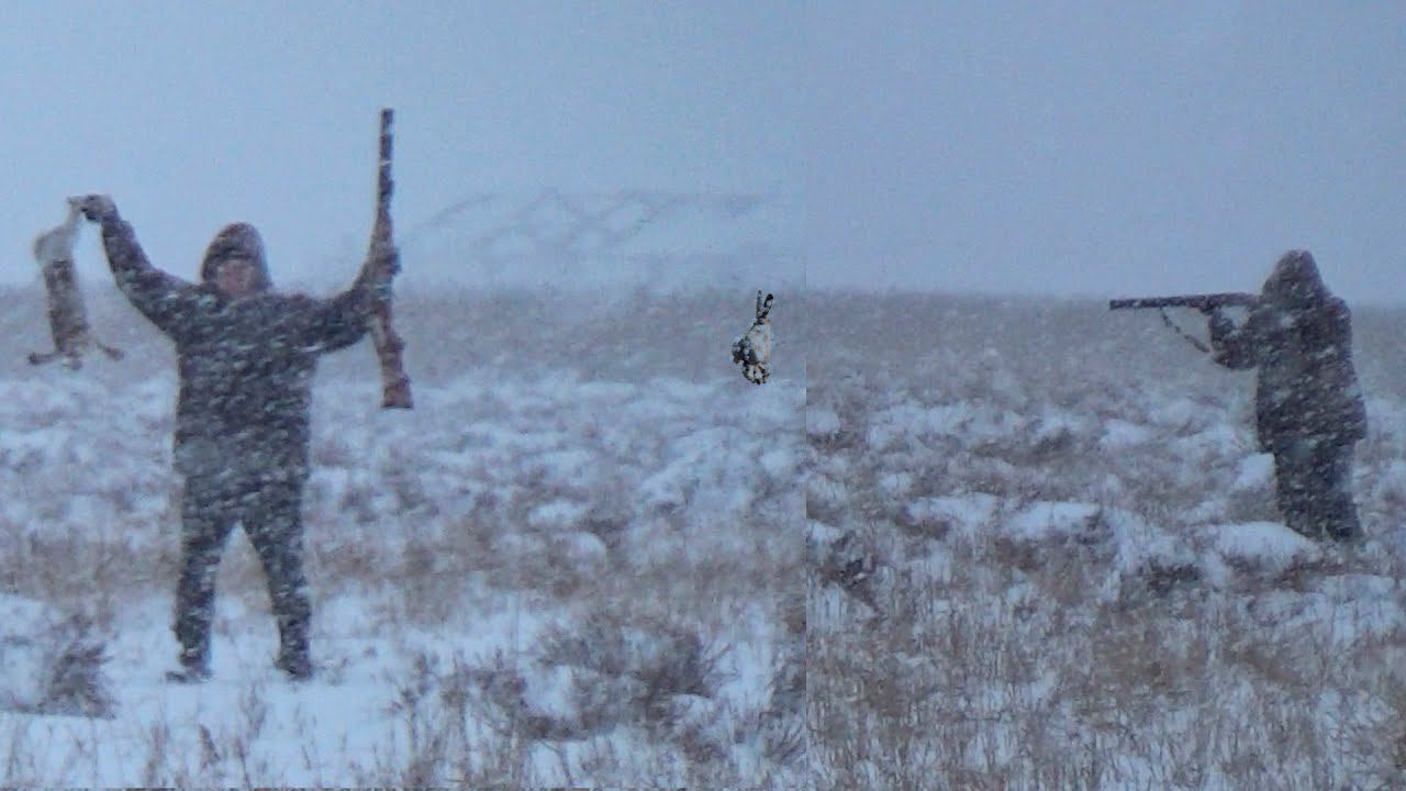 Охота на зайца в непогоду. Зайцы не спят в метель? смотреть онлайн