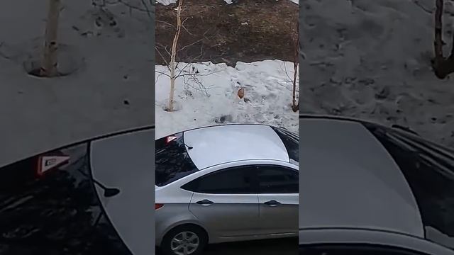 И ни чё не смущает смотреть онлайн