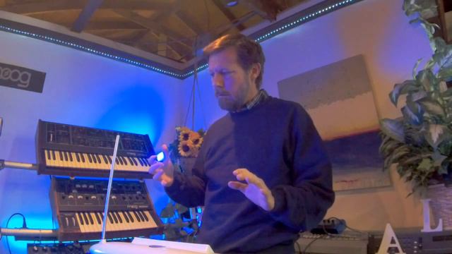 Aquatic Mammals / David A. Lucas on Moog Theremin смотреть онлайн