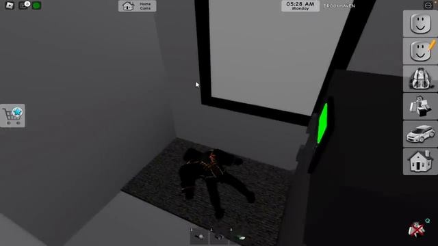 Подсматриваю за ПОДПИСЧИКАМИ в Брукхейвен РП Роблокс! Меня пытались ЗАБАНИТЬ в Brookhaven RP Roblox смотреть онлайн