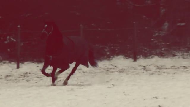 Only miss the sun when it's starts to snow смотреть онлайн