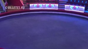 Цирк Никулина на Цветном Бульваре, зрительный зал