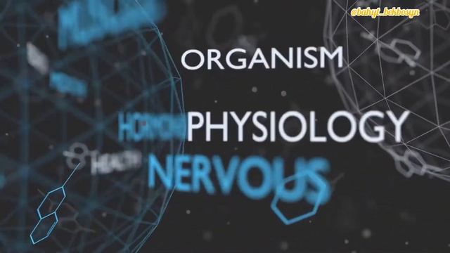 АРТЫҚ САЛМАҚ, ТОЛЫҚТЫҚ, СЕМІЗДІК, АЗ ЖЕСЕМ ДЕ САЛМАҚ КЕТПЕЙДІ, неге???