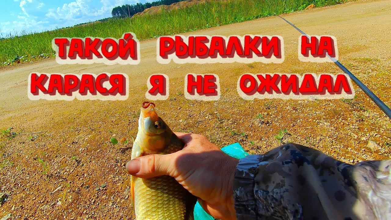 Такой рыбалки я не ожидал Рыбалка на карася в карьере смотреть онлайн
