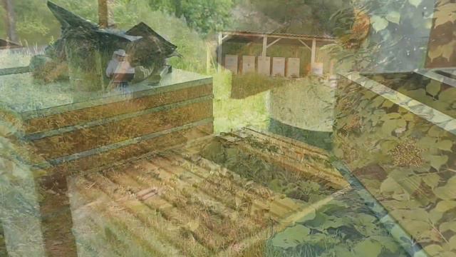 Мёд в сотах с горной пасеки смотреть онлайн