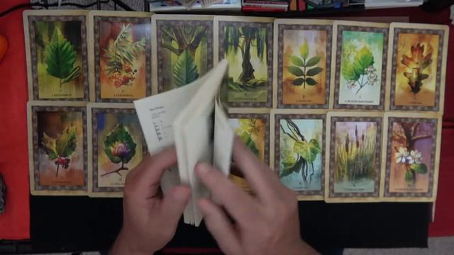 Celtic Tree oracle смотреть онлайн