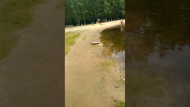 новые отдыхающие Дальних дач. Кыштым Пасхаля Вивария от 04.08.2023 смотреть онлайн