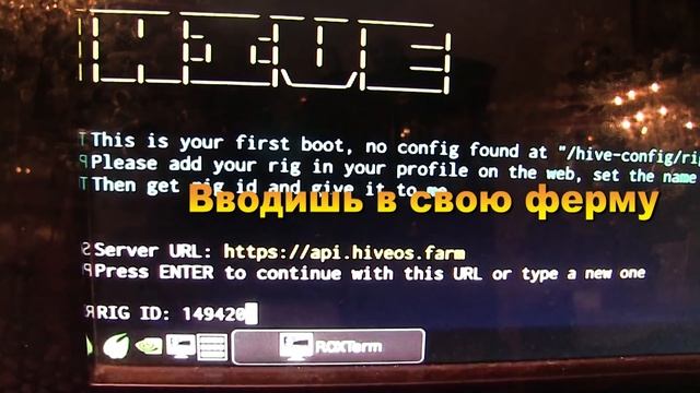 Установка и настройка Hive OS от чайника для чайников. И немного о хайве