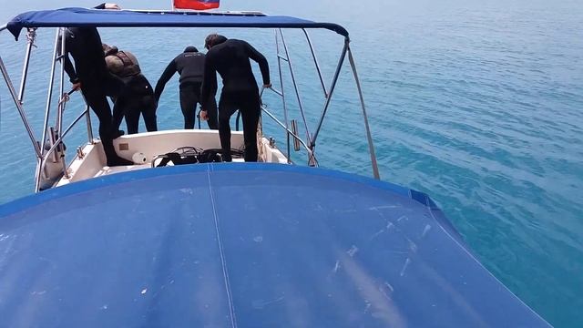 ШОК!!! Огромный Тунец в Черном море! смотреть онлайн