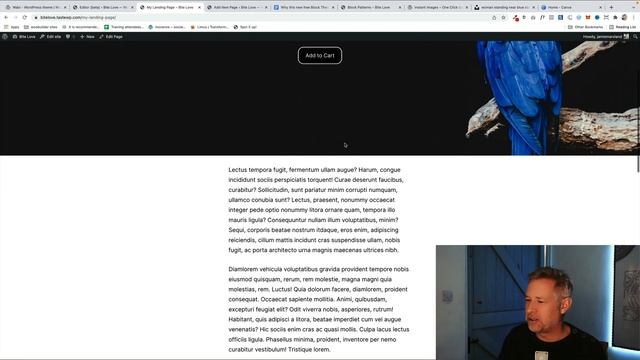 This Gutenberg Block Theme is the future of WordPress смотреть онлайн
