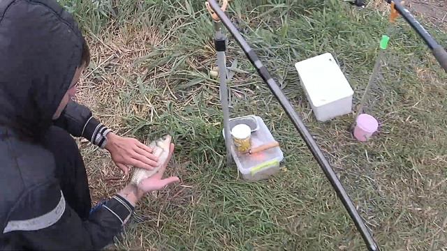 Платник ставок карась толстолобик смотреть онлайн