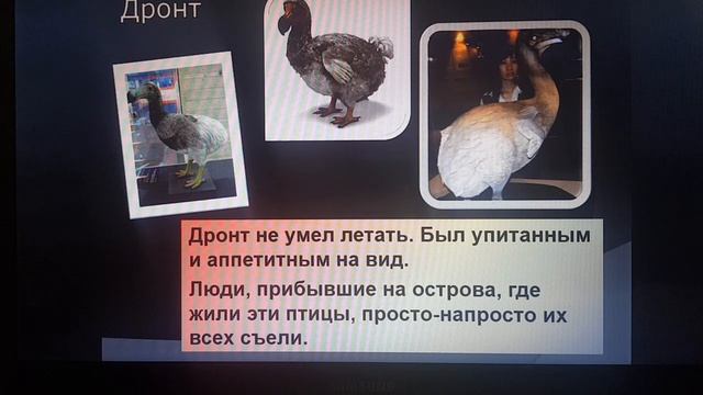 "Красная книга" ознакомление с природой 27.05.20 смотреть онлайн