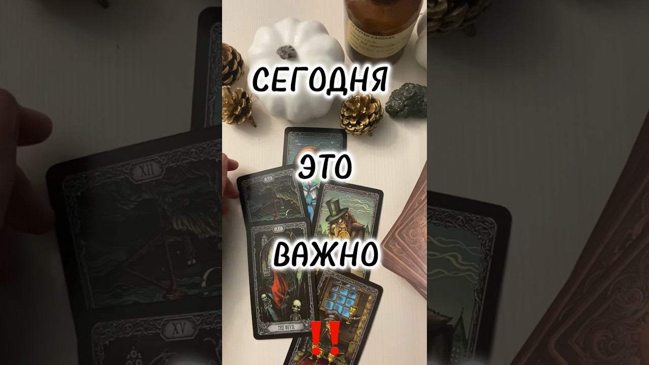 Важно для тебя⚡️Срочно открой ✉️ #таро #тароонлайн #tarot #раскладтаро #будущеетаро #таросегодня