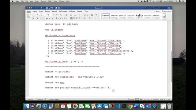 ASP.NET Core 2.2 Web API application that works with Mongo database смотреть онлайн