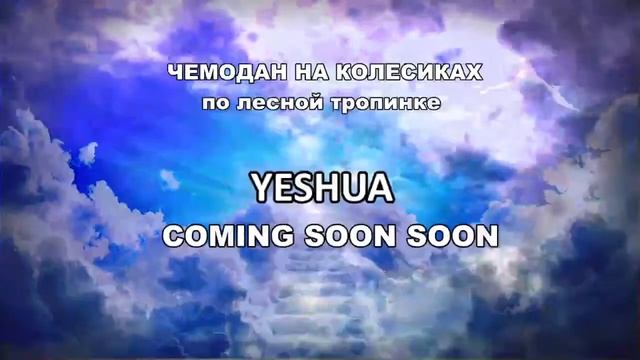 124 ЧЕМОДАН НА КОЛЕСИКАХ по лесной тропинке