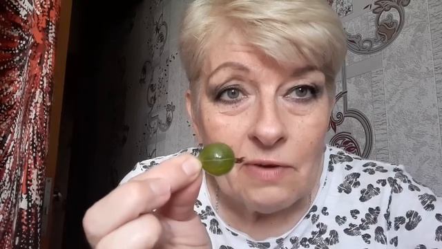 VLOG 586 Нет больших...../Крыжовник и слезы/Рулет/ смотреть онлайн
