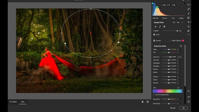 simple editing in nik collection color efex pro 4 . смотреть онлайн
