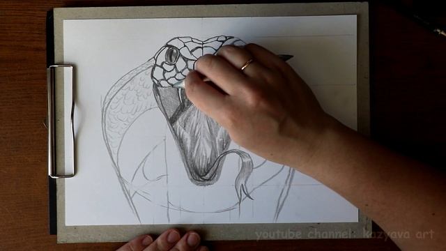 Как нарисовать голову кобры карандашом. Часть 2. Прорисовка деталей смотреть онлайн