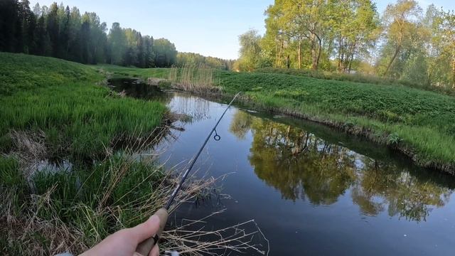 В ЭТОЙ РЕЧКЕ-ПЕРЕПЛЮЙКЕ ШИКАРНЫЕ ЩУКИ!ВЕСЕНЯЯ РЫБАЛКА НА СПИННИНГ.ЛОВЛЯ ЩУКИ НА ВОБЛЕРА.ЩУКА смотреть онлайн