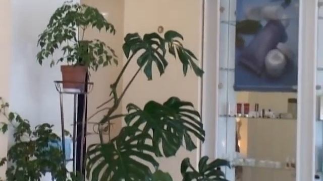 Салон Healthy Joy в Луганске