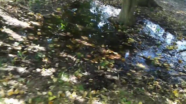 откуда эт вода?и кто за нее заплатит?рядом детский садик21 смотреть онлайн