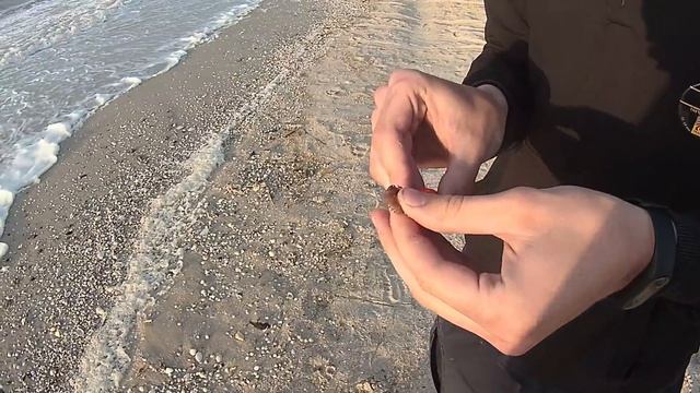 Ловим пеленгаса новым крючком! Ловля пеленгаса с берега. Состояние промоины на 2019 г.