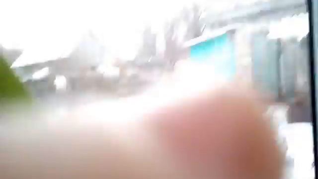 ДЕНЬ КОШКИ МУРКИ смотреть онлайн