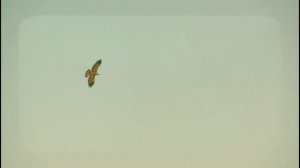 Sailing (Rod Stewart) --- Плывущий (Род Стюарт) с переводом