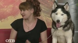 Укротительница волков Екатерина Коренькова (08.06.15)