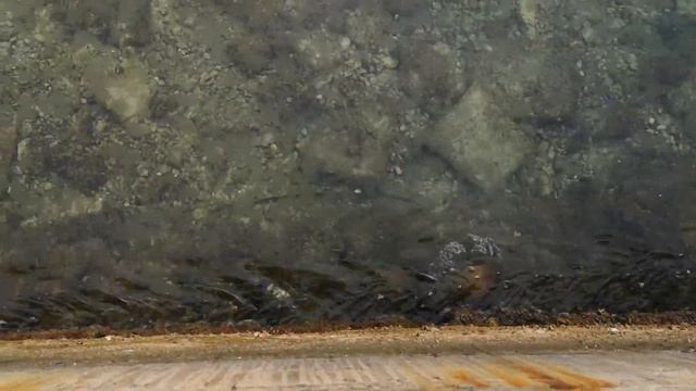 Бассейн с видом на море//Приватный пляж//Savudrija//Хорватия 2023 смотреть онлайн