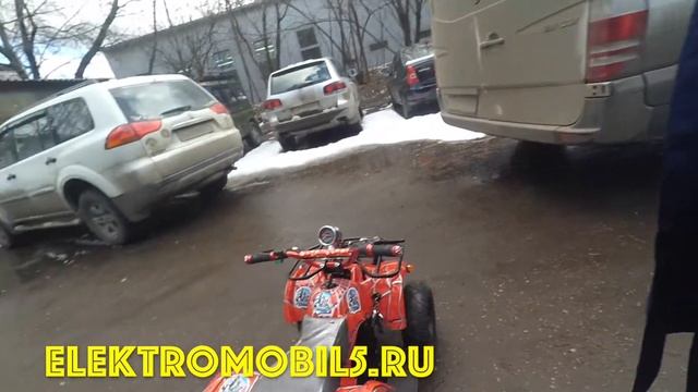 Детский электрический квадроцикл МАУГЛИ MINI-E 800 в смотреть онлайн